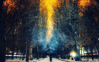 Snowy night park path lamppost - the foreground free wallpaper