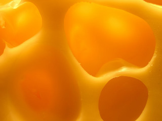 Yellow substance closeup white background - subsurface free wallpaper