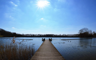Dock lake sun water plants - lake free wallpaper