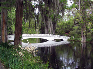 Bridge river white trees flowers - charles ragland bunnell free wallpaper