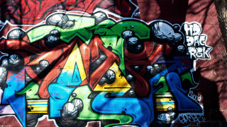 Graffiti wall tree red brick - graffiti paint free wallpaper