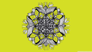Black white flower yellow background - digital art free wallpaper