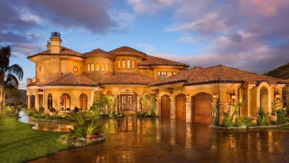 Large house pond palm tree - a palm tree in the foreground free wallpaper