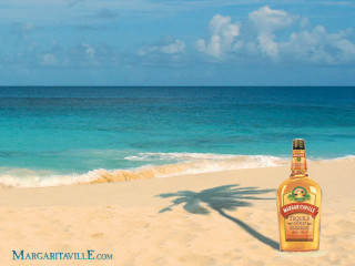 Bottle whiskey beach ocean shadow - the sand free wallpaper