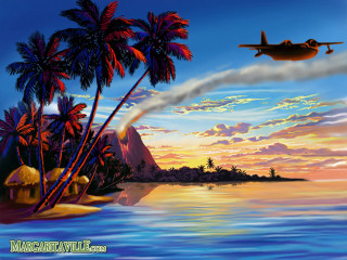 Plane tropical island sunset palm - tropical free wallpaper