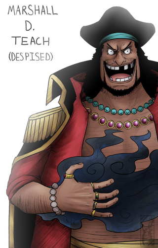 Pirate man cat caption marshall - eiichiro oda free wallpaper
