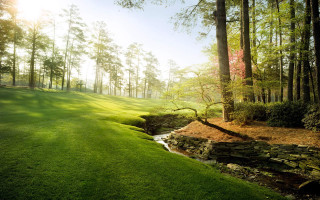 Green field stream trees sunlight - a stream free wallpaper