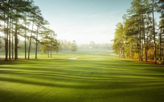 Golf course green trees blue - a golf course free wallpaper