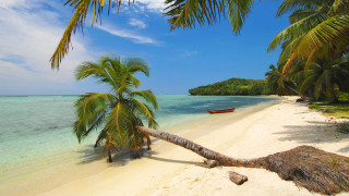Palm tree beach boat blue 4 - leaning free wallpaper