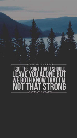 Forest quote inspiration nature beauty - a picture of a forest free wallpaper