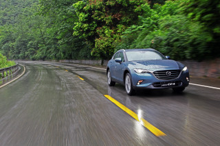 Blue car driving road forest 4 - a forest of trees and bushes free wallpaper