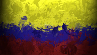 Yellow blue horse side red - a horse free wallpaper