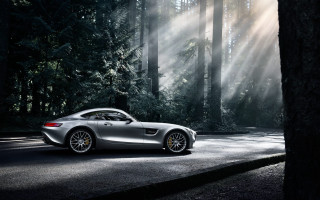 Silver sports car woods sunbeams - the tree behind free wallpaper