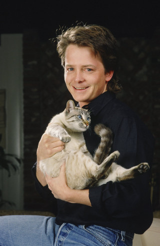 Man holding cat smiling camera - christopher perkins free wallpaper