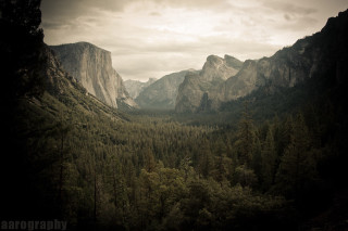 Valley mountains trees foreground scenery 2 - a view of a valley free wallpaper