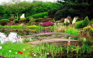 Wooden bridge pond garden flowers - impressionist free wallpaper