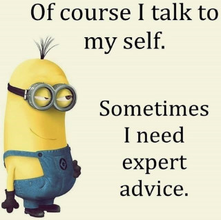 Minion funny expression quote verdadism 2 - professional free wallpaper