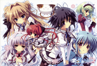 Anime girls long hair cats - wearing free wallpaper