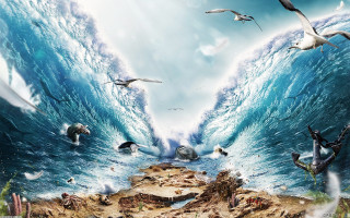 Birds flying water wave crashing - over a body of water free wallpaper