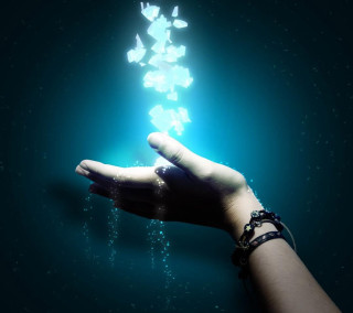 Person holding butterfly hand butterflies - a person holding free wallpaper