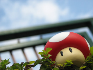 Mushroom toy tree sky bridge - bernie d’andrea free wallpaper