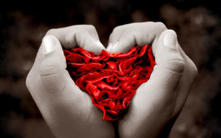 Heart shaped cloth hands black - a black border free wallpaper