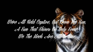 Tiger quote image design - a tiger free wallpaper