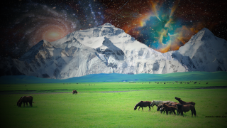 Horses grazing field mountain stars - surrealism free wallpaper