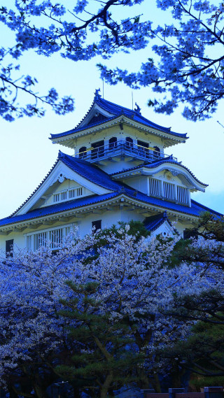 Tall building blue roof cherry - a tall building free wallpaper