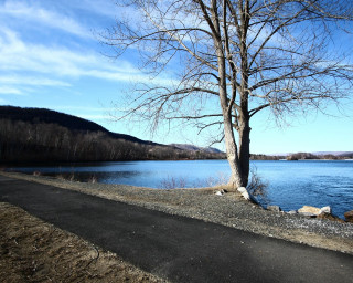 Tree road lake mountains blue - evaline ness free wallpaper