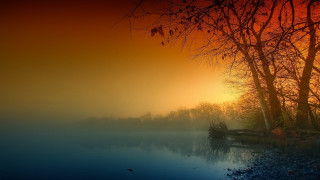 Lake bench sunset trees foreground - a bench in the middle of it free wallpaper