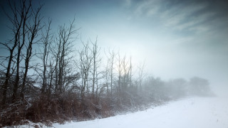 Snowy landscape trees road sun - the cloud free wallpaper