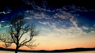 Tree silhouette sunset sky clouds 2 - the background and a body of water free wallpaper