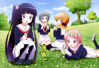 Anime girls grass field butterfly - the ground in a field of grass free wallpaper