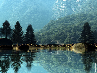 Cattle lake forest hillside trees - hillside free wallpaper