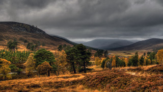 Field mountain cloudy sky trees - rich moody colour free wallpaper