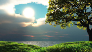 Tree hill lake sun cloudy - a grassy hill free wallpaper
