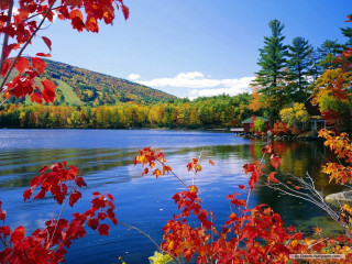 Lake fall colors trees mountain - side and a mountain in the background free wallpaper