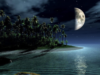 Turtle swimming ocean full moon - felipe seade free wallpaper