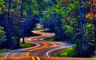 Curved road trees bushes vibrant - a yellow line free wallpaper