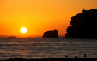 Sunset ocean island bird shore - sunset free wallpaper