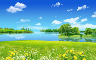 Green field lake shore blue - flower and trees free wallpaper