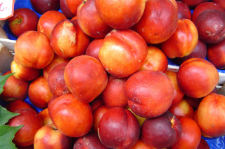 Red apples blue tray leafy - red apple free wallpaper