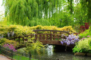 Bridge pond trees flowers park - a park setting free wallpaper