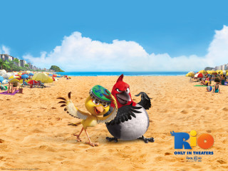 Cartoon character bird beach umbrellas - umbrella free wallpaper