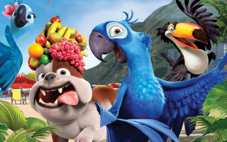 Bird dog fruit heads cartoon - fruit free wallpaper