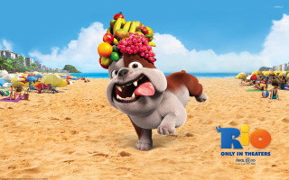 Cartoon character running beach fruit - free dogs wallpaper