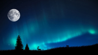 Full moon deer aurora night - night sky free wallpaper