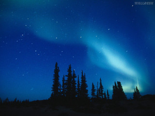 Night sky stars green aurora - a green aurora free wallpaper