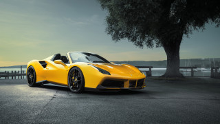 Yellow sports car tree street - a yellow sports car free wallpaper